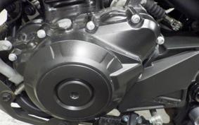 SUZUKI Vｽﾄﾛｰﾑ250