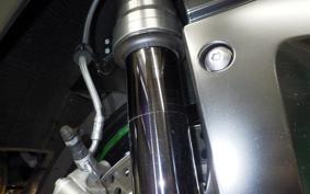 KAWASAKI NINJA H2 CARBON 2019 ZXT02J