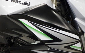 KAWASAKI Z250 2020 ER250C