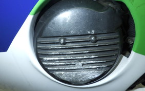 KAWASAKI ZXR250 Gen.2 2020 ZX250C