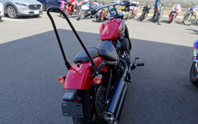 HARLEY FXBBS 2023 YYK