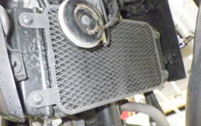 SUZUKI Vｽﾄﾛｰﾑ250A 2019