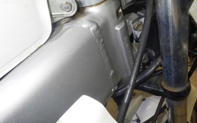 YAMAHA FZR250 R 2016 3LN