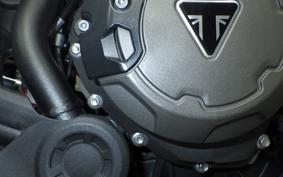 TRIUMPH TIGER 900 GT PRO 2020