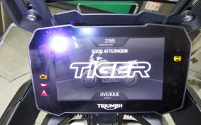 TRIUMPH TIGER900 RALLYARACO 2024