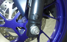 YAMAHA YZF-R15 1999 RG86J