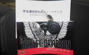 HARLEY FXFBS1870 2025