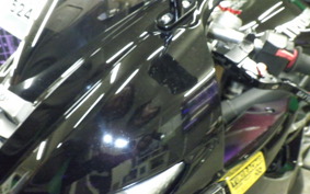 TRIUMPH TRIUMPH DAYTONA675 2009