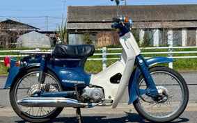 HONDA SUPER CUB50 C50