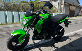 KAWASAKI Z125 PRO BR125H