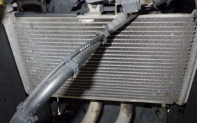 YAMAHA YZF-R3 2019 RH13J