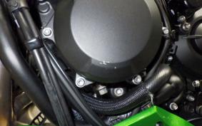 KAWASAKI ZH2 SE 2008 ZRT00R