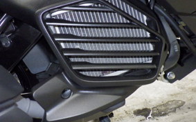 YAMAHA CYGNUSｸﾞﾘﾌｧｽ 2020 SEJ4J