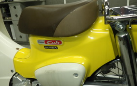 HONDA C110 SUPER CUB
