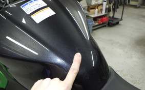 KAWASAKI NINJA 250 EX250Y