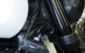 TRIUMPH TRIDENT 660 2024