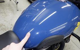 OTHER +ENFIELD ﾒﾃｵ350 2025