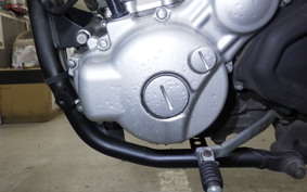 YAMAHA WR250X 2021 DG15J