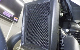 OTHER +ENFIELD ｼｮｯﾄｶﾞﾝ650 2024