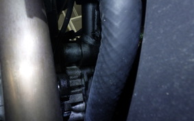 KAWASAKI ZX-4RR 2025 ZX400P