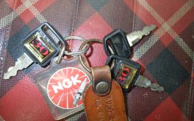 HONDA MONKEY 2016 Z50J