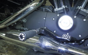 HARLEY XL883N 2015