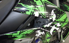 KAWASAKI KLX250D TRACKER X 2024 LX250V