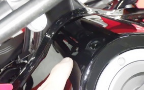 HONDA CRF250 GEN 2 RALLY 2024 MD47