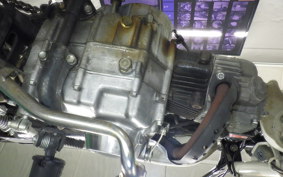 HONDA GORILLA 2009 AB27