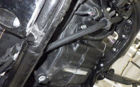 HARLEY FXLRST1920 2024