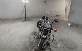 YAMAHA VIRAGO250S 3DM