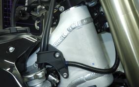 TRIUMPH TF250-X