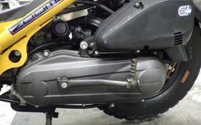 HONDA ZOOMER 2024 AF58