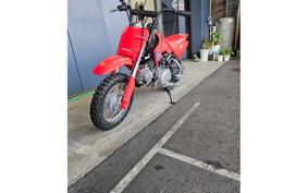HONDA CRF50F 2024 AE04
