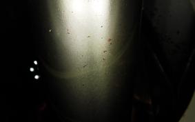 HONDA TL125 2013 JD06