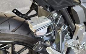 SUZUKI STROM 250 DS11A