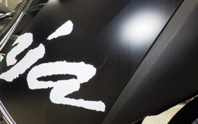 KAWASAKI NINJA 250 ABS EX250L