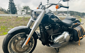 HARLEY  HARLEY FLFB 2018 YFJ