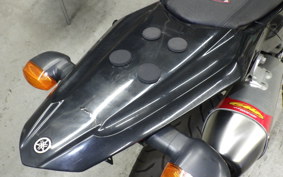 YAMAHA WR250X 2021 DG15J