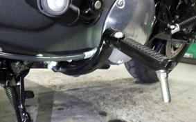 HARLEY XL883N