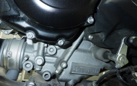 SUZUKI SV650 A 2024 VP55E