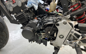 HONDA HORNET250 MC31