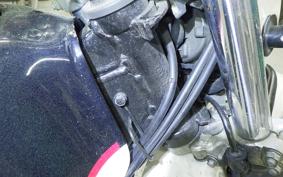 KAWASAKI SUPER SHERPA 2012 KL250G