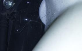 HONDA GYRO CANOPY 2022 TA03