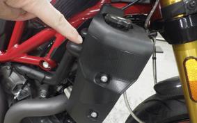 INDIAN FTR1200 carbon 2023