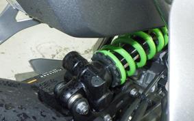 KAWASAKI ZX-4RR 2024 ZX400P