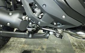 BMW R1300GS 2024