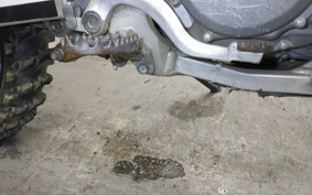 SUZUKI RM-Z250