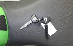 KAWASAKI NINJA 250 EX250P