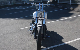 HARLEY FXDF1580 2014 GY4